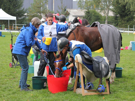 CEI2* Schweizermeisterschaft Dielsdorf 2015 - Foto: Jenny Commons