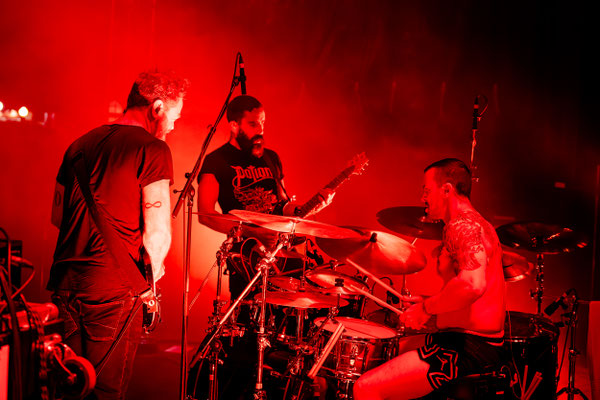 Karnivool
