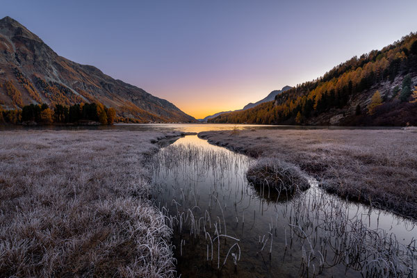 Bild Nr. 2021_2471: Ein frostiger Morgen am Silsersee
