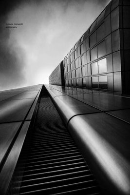 The Escalator (2017)