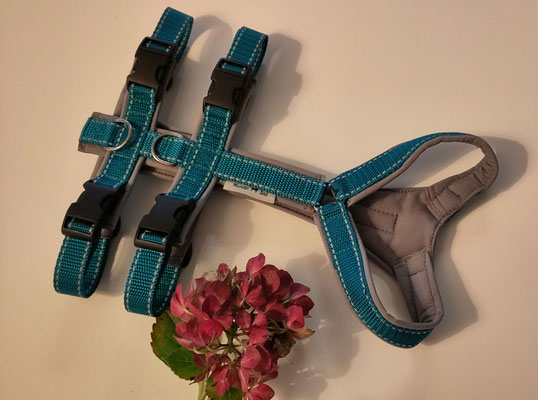 Sicherheitsgeschirr Gurtband Petrol 2 cm, mit Brustlatz