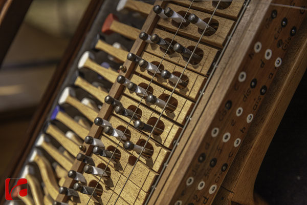 Mittelalterfest Zug 2019, Nyckelharpa, Godefroy Brabant — Musikinstrumentenbauer