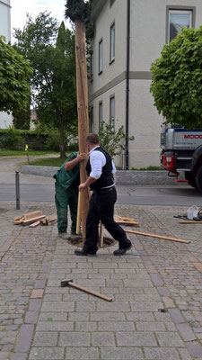Maibaumstellen 2018