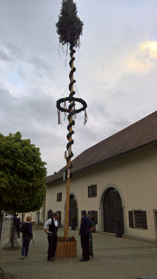 Maibaumstellen 2018