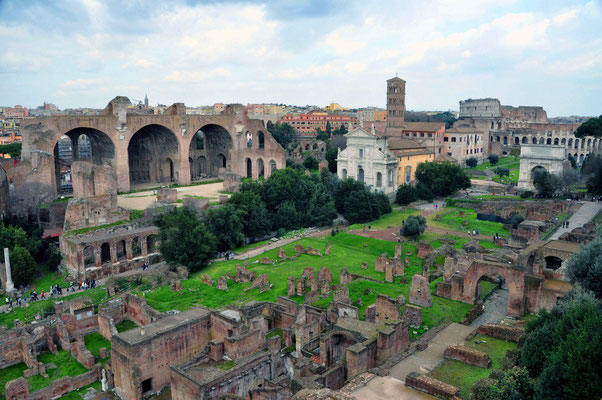 Foro Romano N° 5