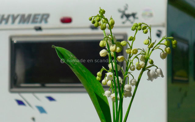 ... pour en faire un petit bouquet.