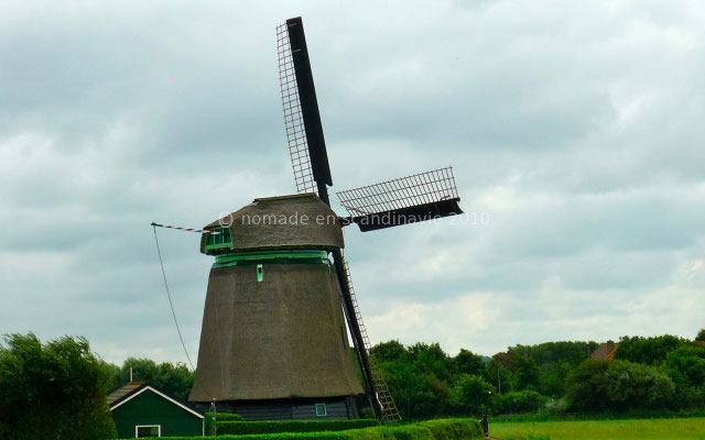 Un des nombreux moulins hollandais.