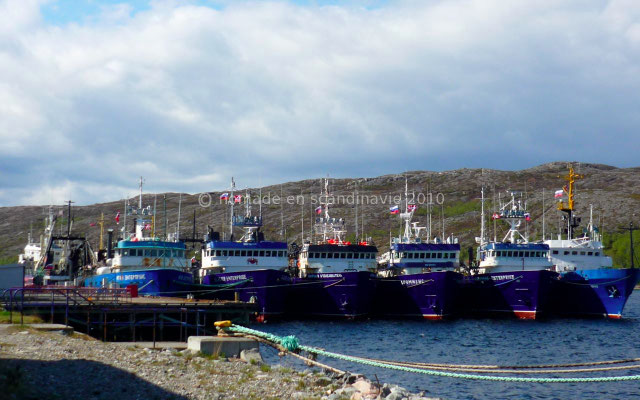 Flottille importante de pêcheurs de crabes géants, russes et norvégiens