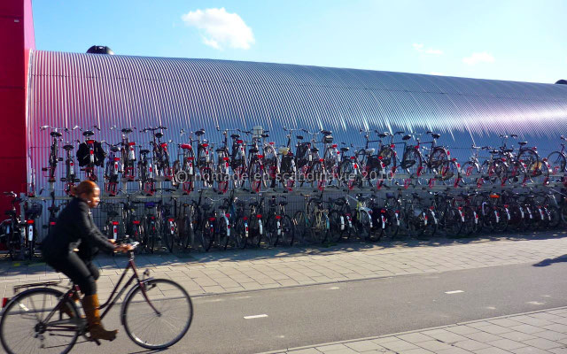 Des vélos, des vélos...