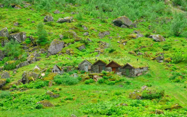 Petites maisons au toit couvert d'herbe