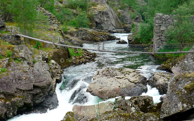 Une fragile passerelle pour traverser le torrent