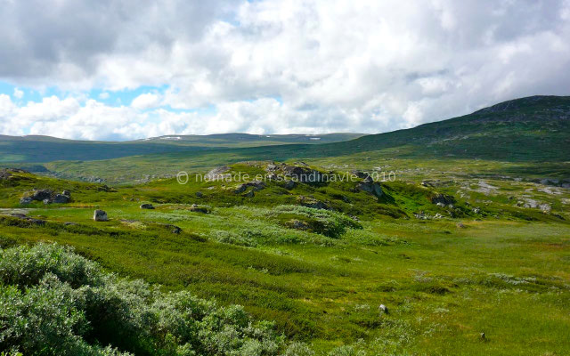Sur le plateau de Hardangervidda