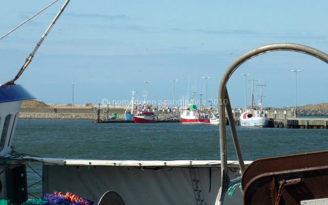 Port de Ringkøbing