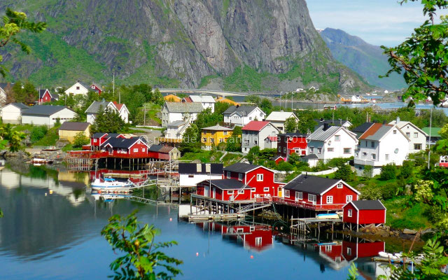 Reine