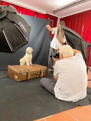 Hundeshooting