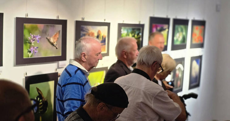 Vernissage am 8.8.2025
