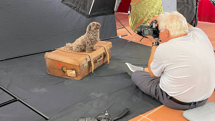 Hundeshooting