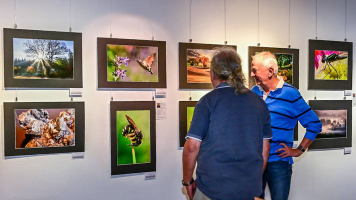 Vernissage am 8.8.2025