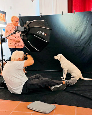 Hundeshooting