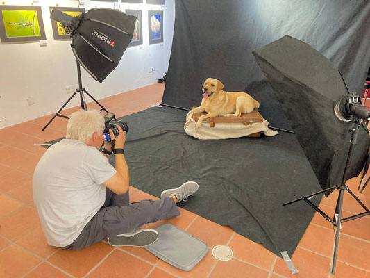 Hundeshooting