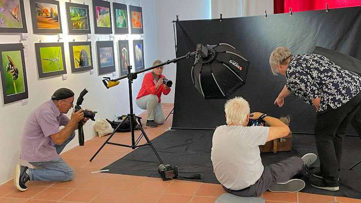 Hundeshooting
