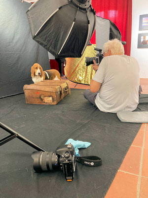 Hundeshooting