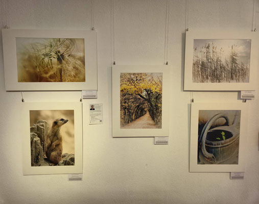Vernissage am 8.8.2025