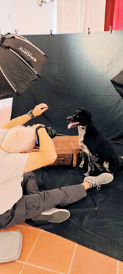 Hundeshooting