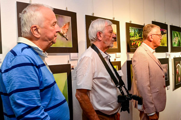 Vernissage am 8.8.2025