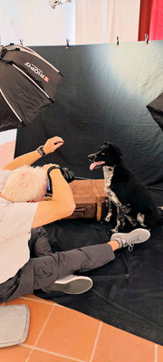 Hundeshooting
