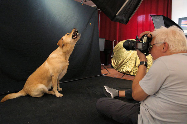 Hundeshooting