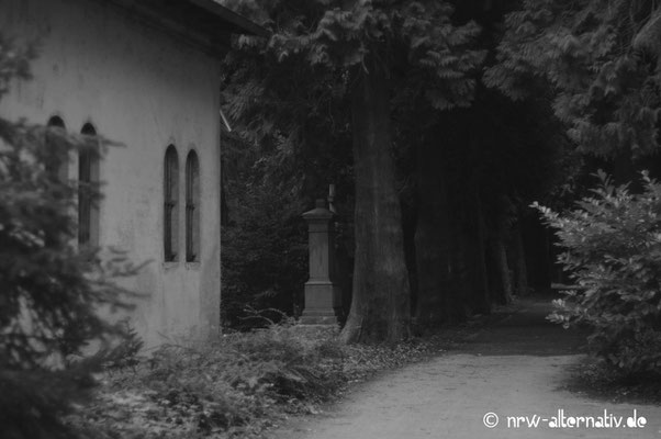 Ganz schön unheimlich, so eine Friedhofsallee ...