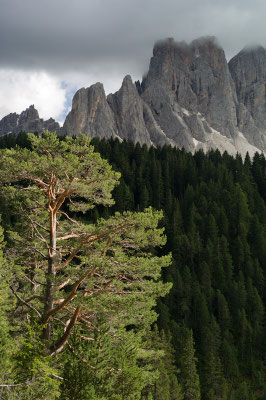 Geislerspitzen I Naturpark Puez-Geisler