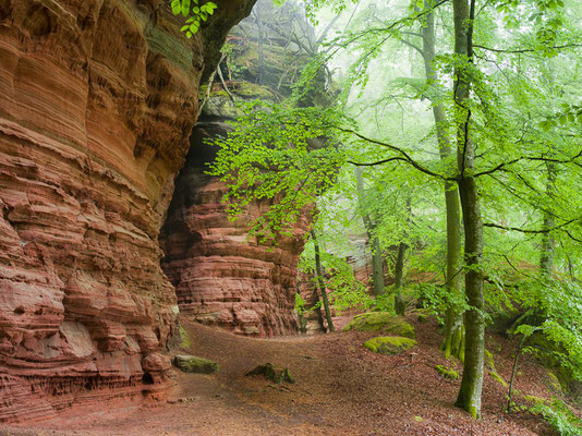Altschloßfelsen I Pfälzer Wald