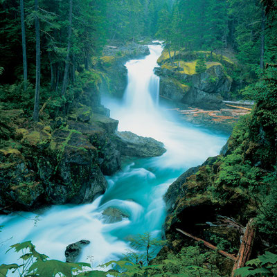Silver Falls I Mount Rainier Nationalpark I Washington