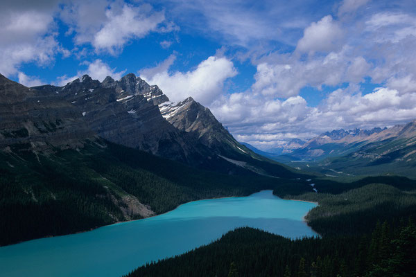 Peyto Lake I Banff Nationalpark I Alberta I Kanada