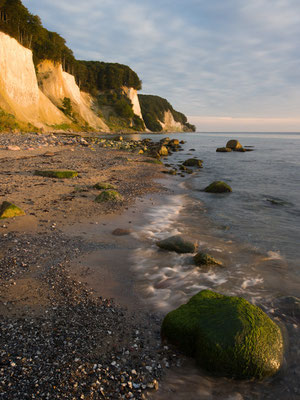 Erstes Morgenlicht am Kreidefelsen I Nationalpark Jasmund I Rügen I Mecklenburg-Vorpommern