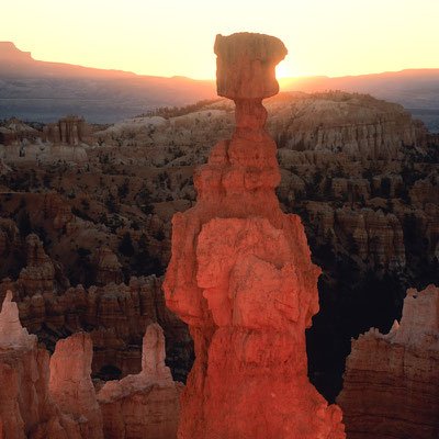 Thors Hammer I Sunset Point I Bryce Canyon Nationalpark I Utah