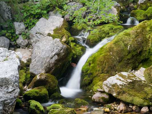 Triglav Nationalpark I Slowenien
