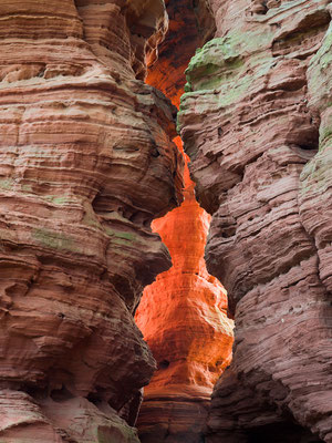 Altschloßfelsen I Pfälzer Wald