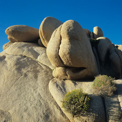 Steinskulpturen I Joshua Tree Nationalpark I Kalifornien