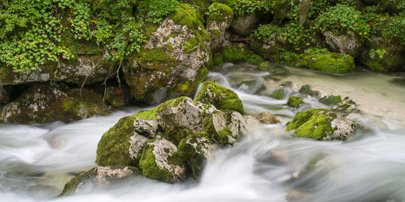 Triglav Nationalpark I Slowenien I Lepenatal