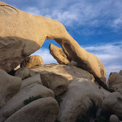 Steinskulpturen I Joshua Tree Nationalpark I Kalifornien