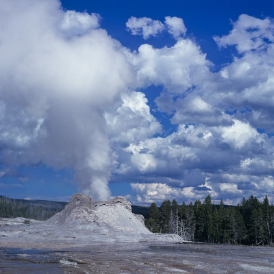 Castle Geyser I Yellowstone Nationalpark I Wyoming