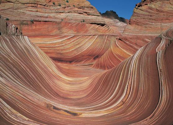 The Wave I Grand Staircase Escalante I Utah