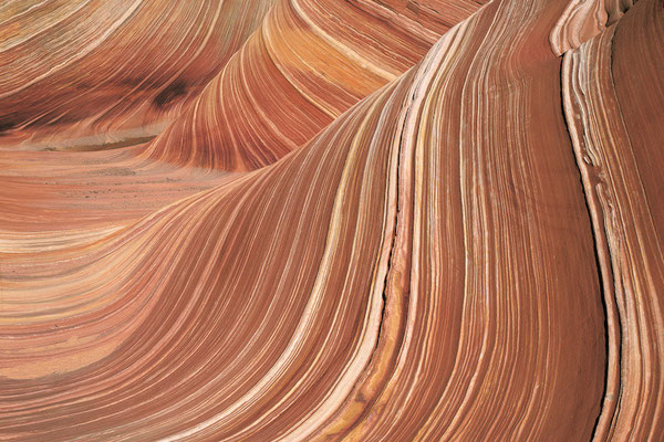 The Wave I Grand Staircase Escalante I Utah