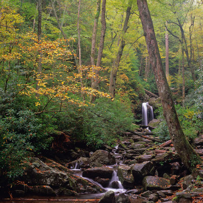 Great Smoky Mountains Nationalpark I North Carolina