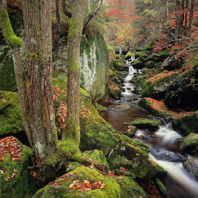 Steinklamm I Spiegelau I Bayerischer Wald