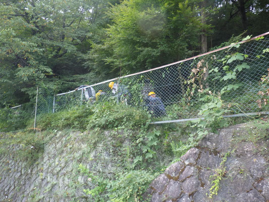 東側道沿いの草刈り