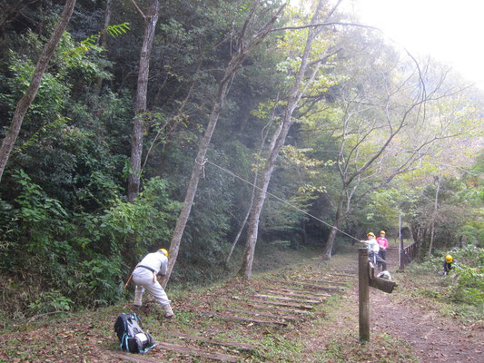 廃線敷展望広場手前園路脇の枯れたケンポナシ２本を伐採